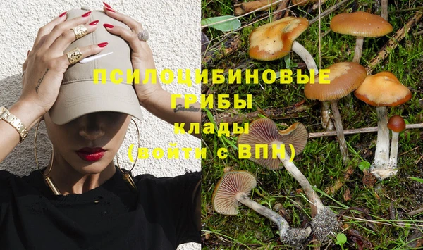 гидропоника Липки
