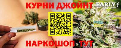 гашик Обь