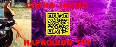 гашик Обь
