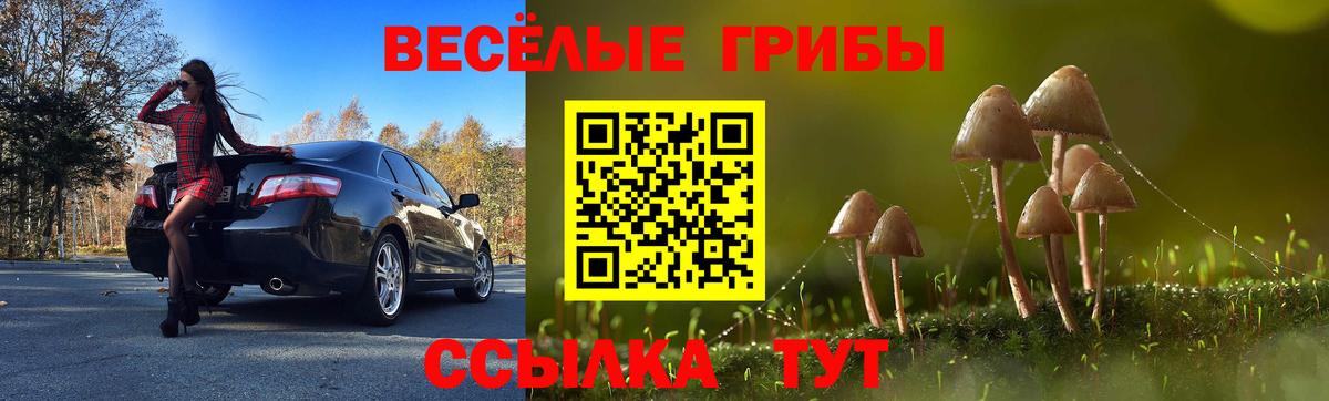 Галлюциногенные грибы Magic Shrooms Рубцовск